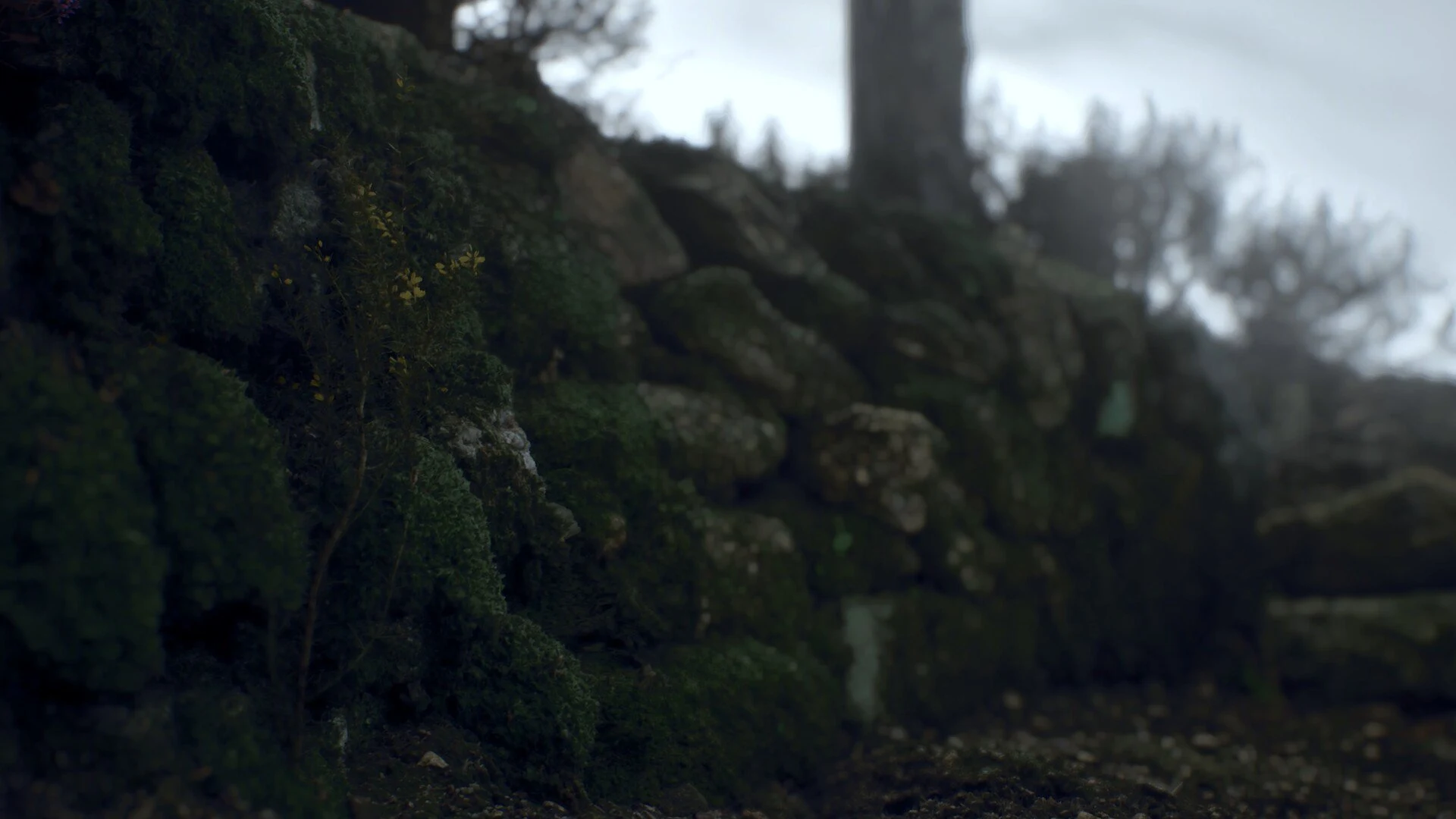 Ritual Tides screenshot